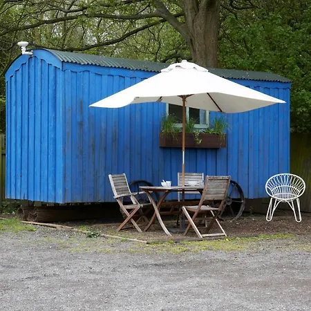 Hébergement de vacances Blue Cabin - Shepherds Hut