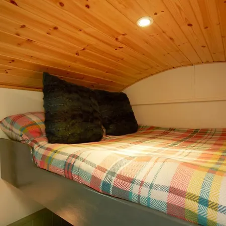 Hébergement de vacances Blue Cabin - Shepherds Hut *